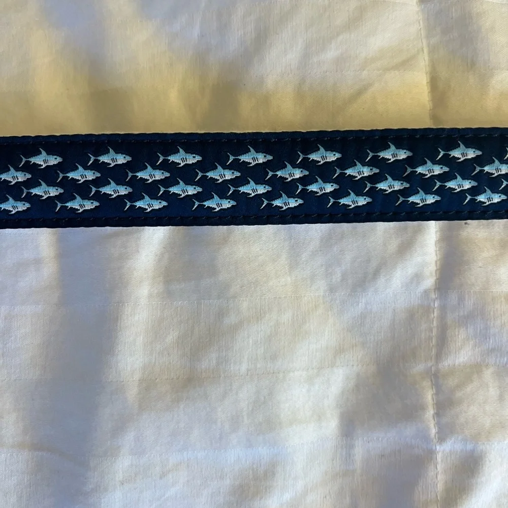 J. Crew Factory Navy and Brown Kids Belt
